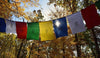 Prayer Flags Default Praise to the 21 Taras Prayer Flags pf041
