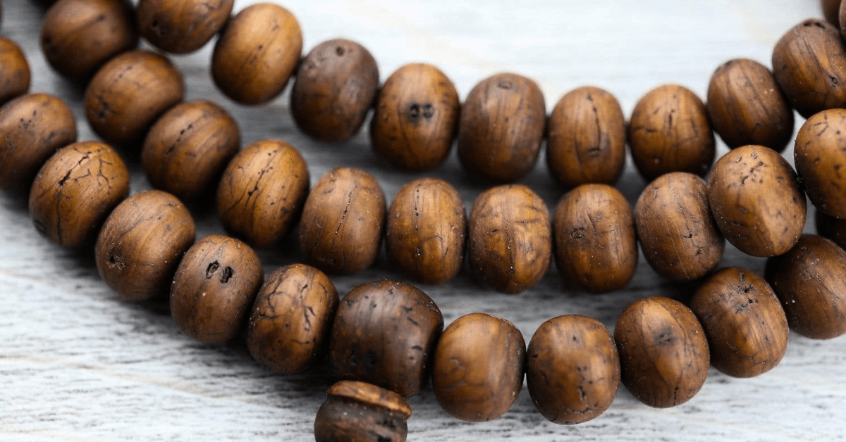 The Meaning of Bodhi Seeds