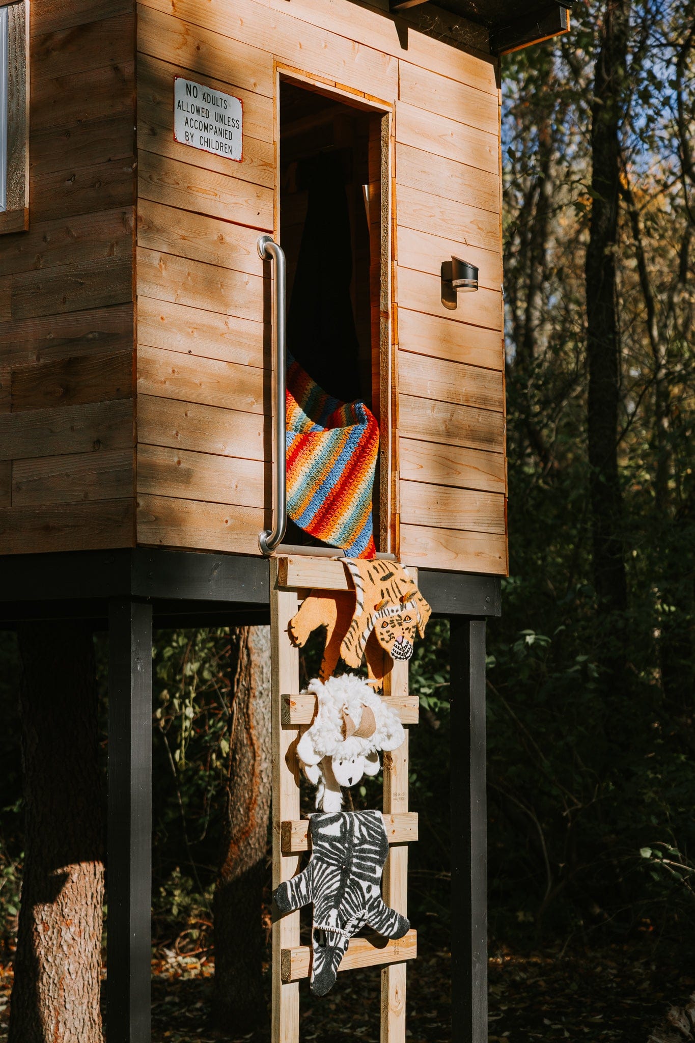 Carpets DharmaKids Felt Animal Rugs