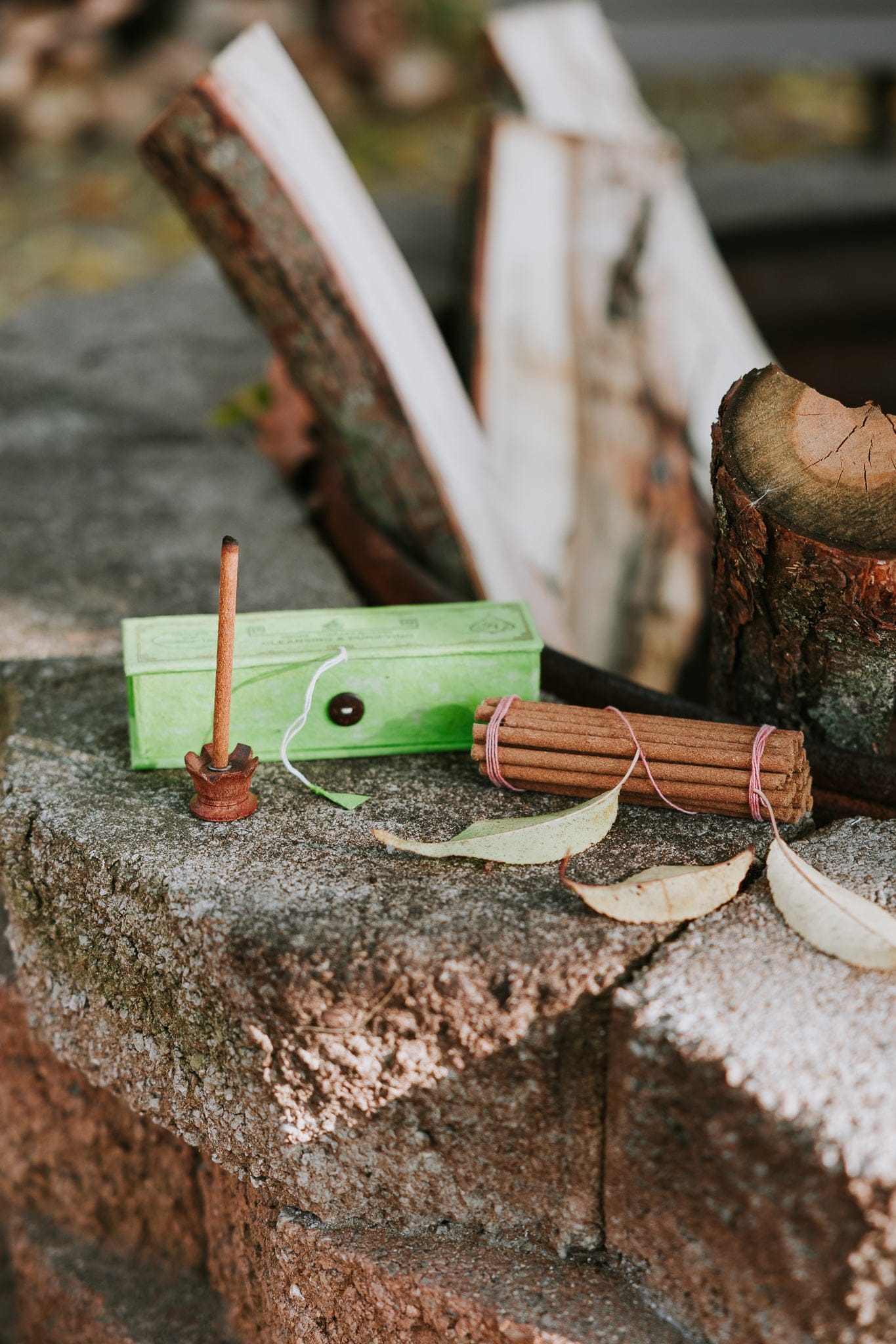 Incense Mosquito Repellant Citronella Incense IN192