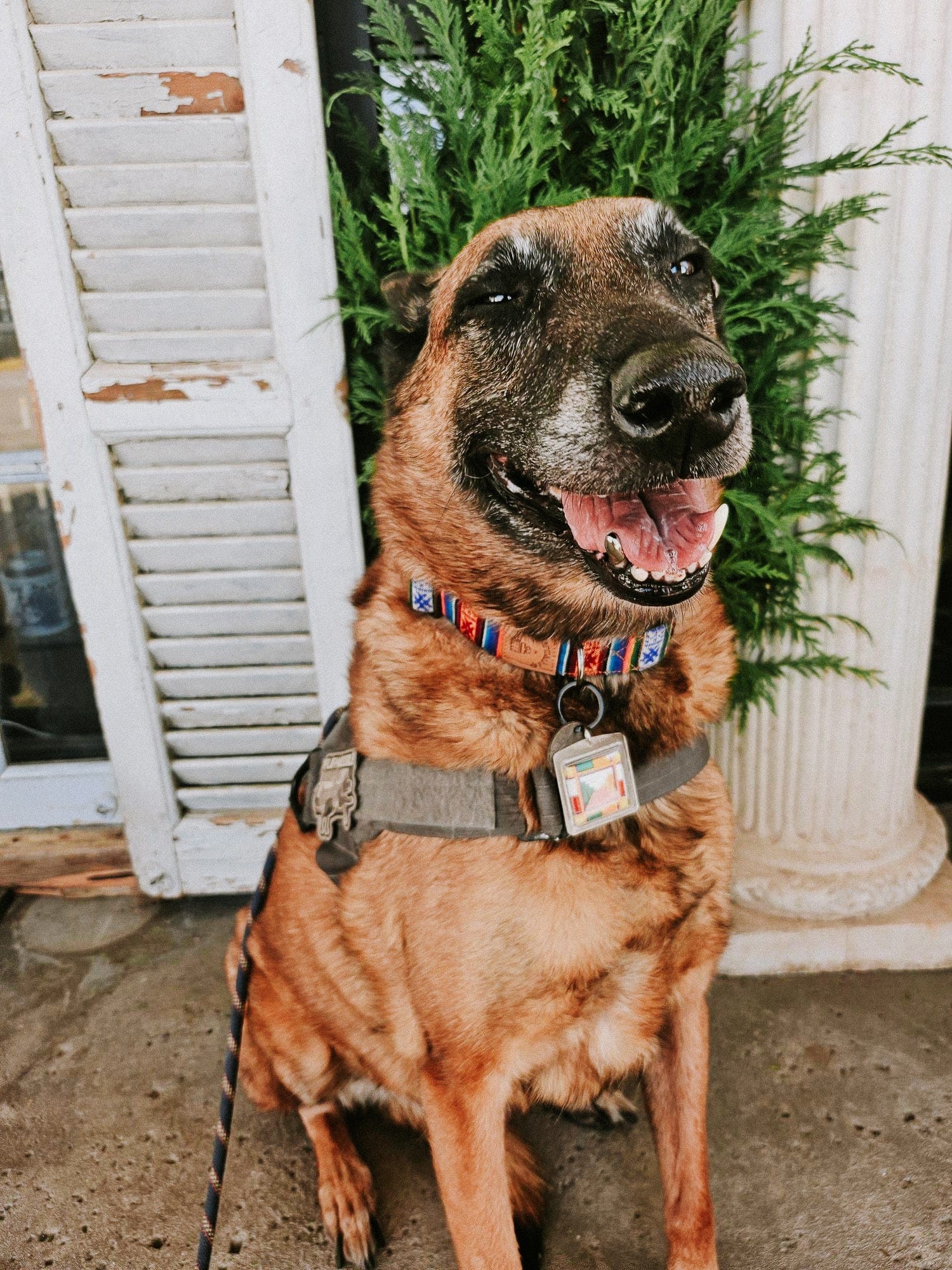 Lifestyle Bhutanese Heritage Dog Collar & Leash Set