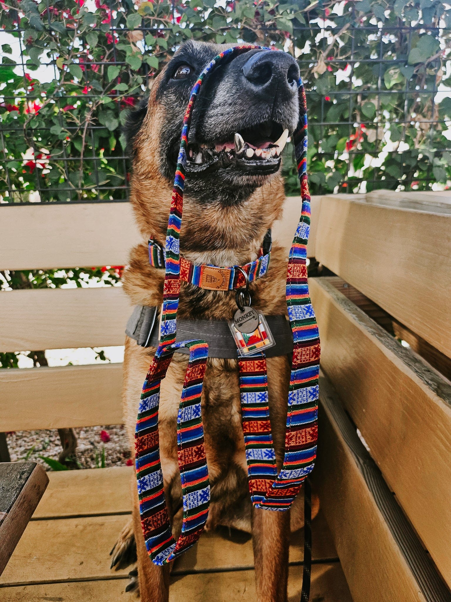 Lifestyle Bhutanese Heritage Dog Collar & Leash Set