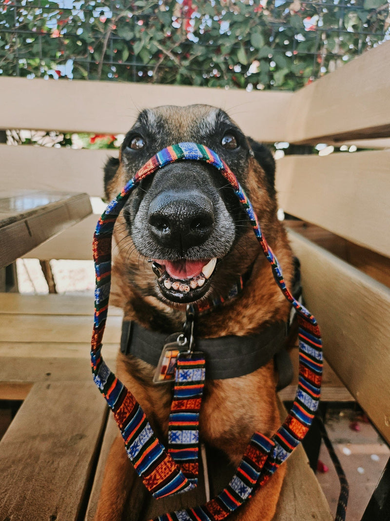 Lifestyle Bhutanese Heritage Dog Collar & Leash Set