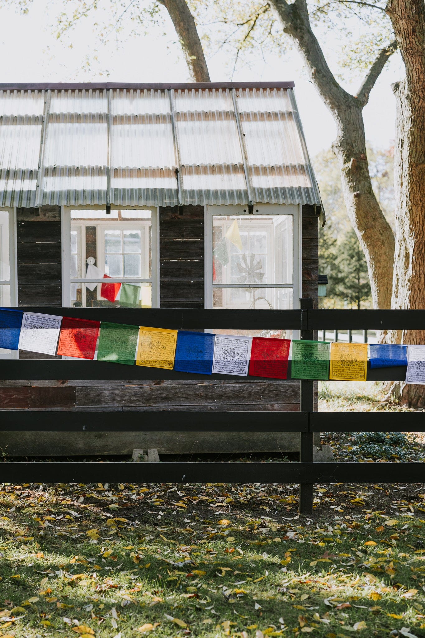 Prayer Flags Biodegradable Windhorse Prayer Flags PF166