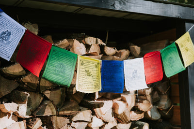 Prayer Flags Traditional Prayer Flags Set of 10 pf069