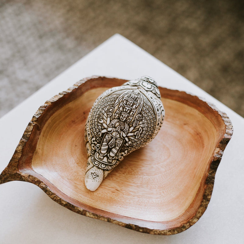 Artisan Etched Conch Shell