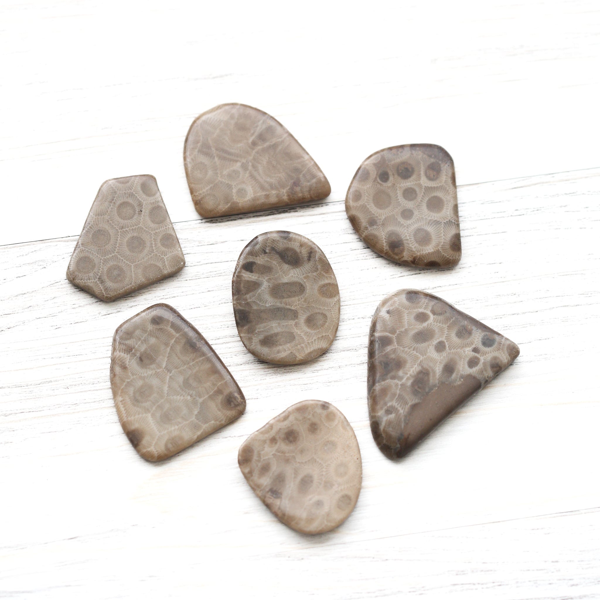 Statues Petoskey Stone Worry Stones ST306-1