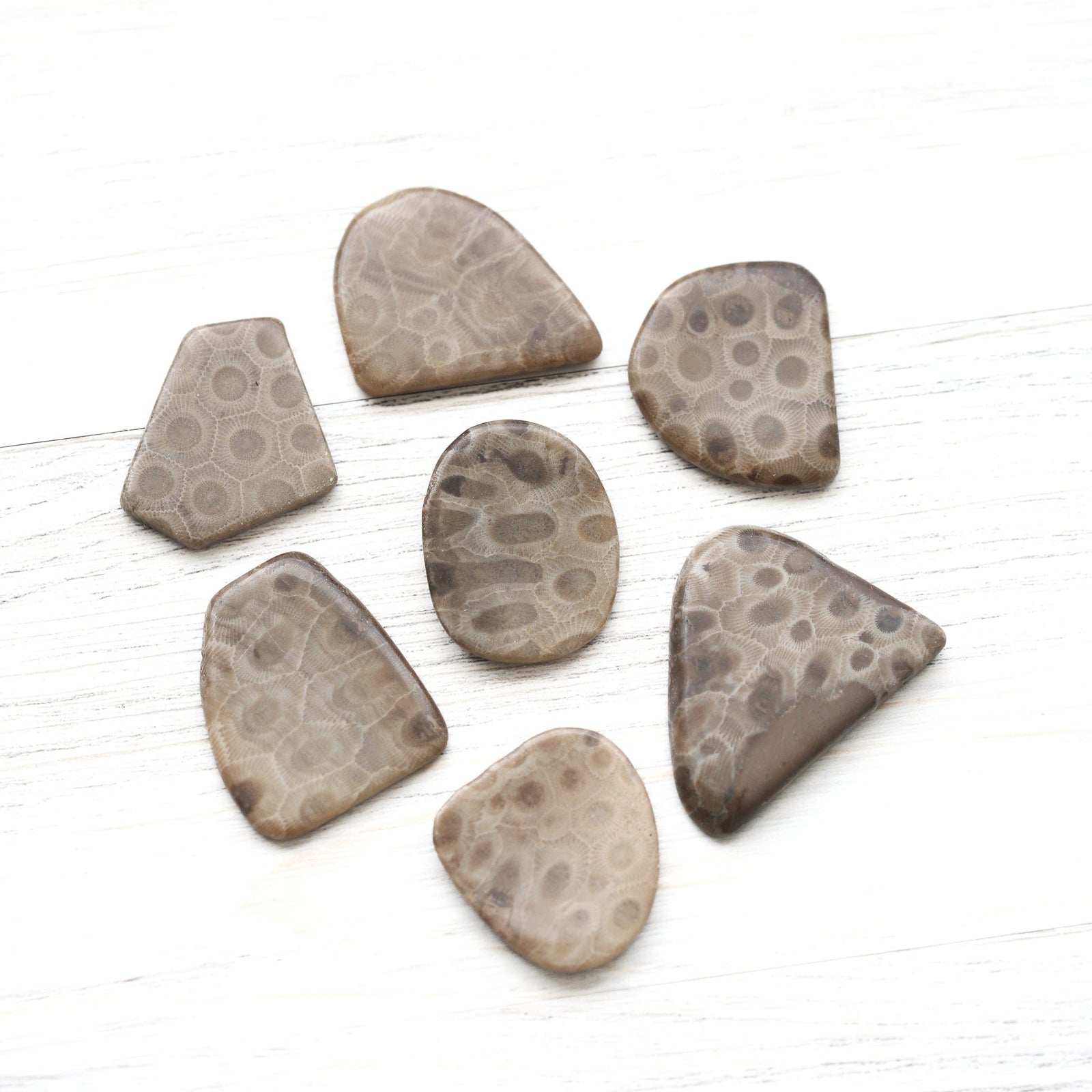 Statues Petoskey Stone Worry Stones ST306-1