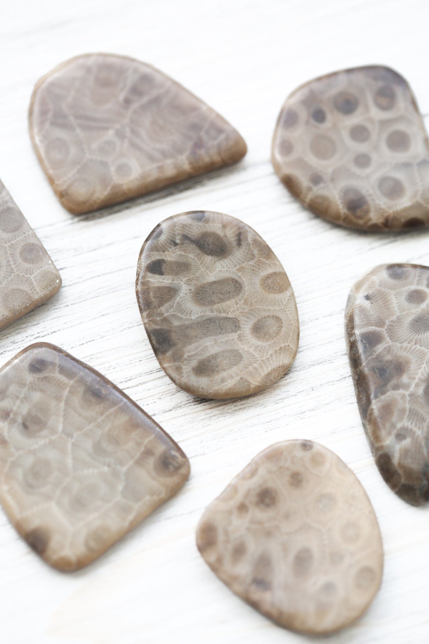 Statues Petoskey Worry Stone