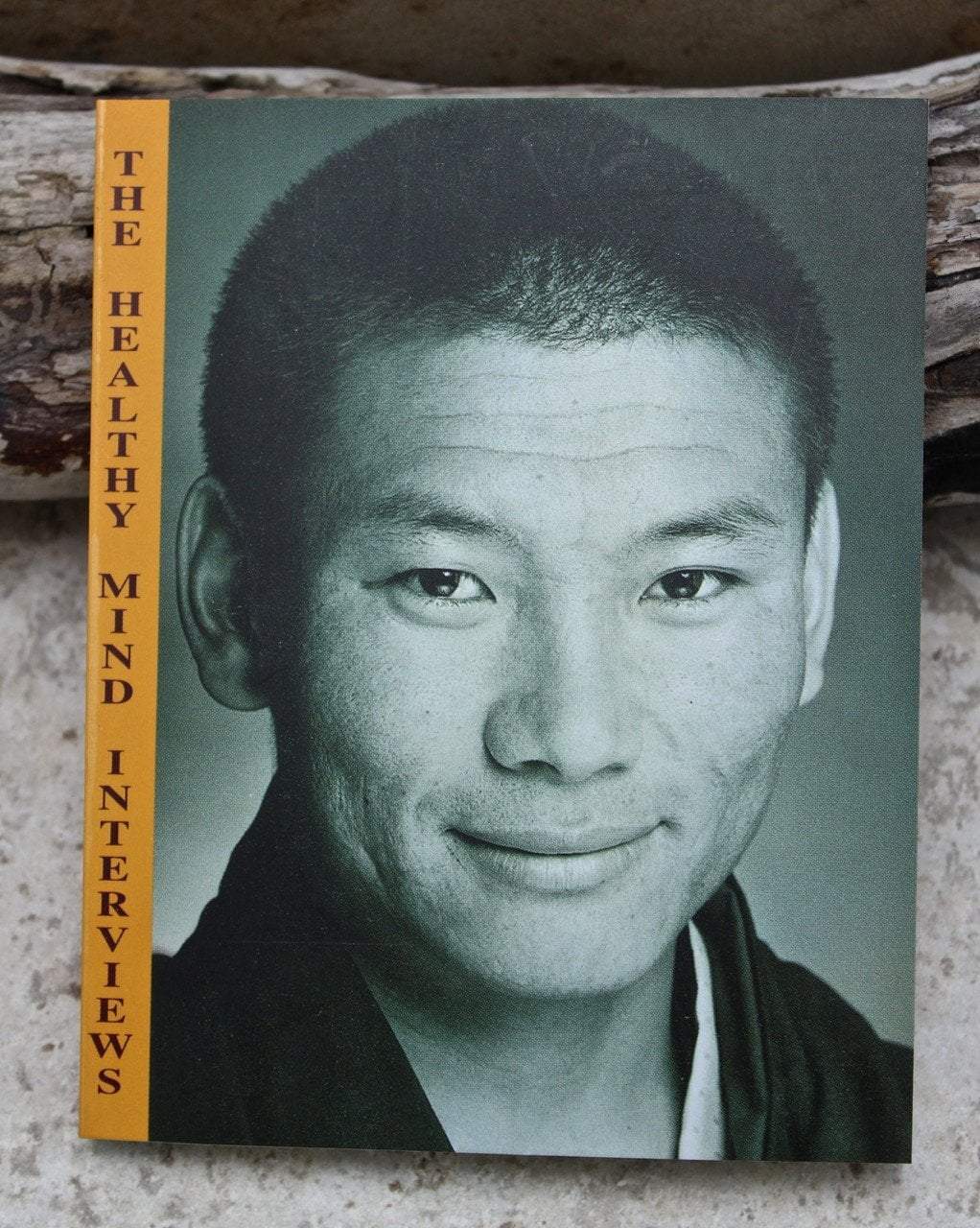 Books Default The Healthy Mind Interviews bk084