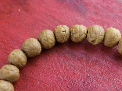 Bracelets Simple Raktu Seed Bead Bracelet WM449