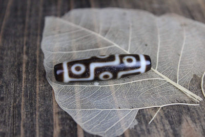 Dzi Beads Default Absolutley Perfect 9 Eye Dzi Bead dz097