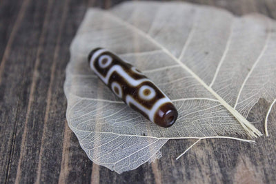 Dzi Beads Default Absolutley Perfect 9 Eye Dzi Bead dz097