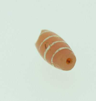 Dzi Beads Default Ancient Cracked Etched Carnelian Bead AB003