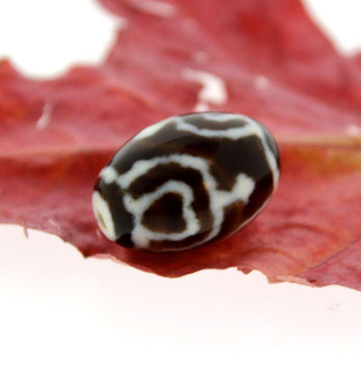 Dzi Beads,New Items Default Lotus and Vase True Agate Dzi Bead dz057