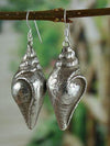Earrings Default Conch Shell Earrings je013