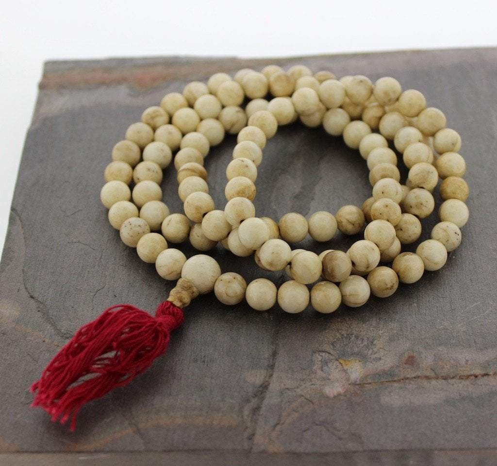 Small Naga Shell 108 Mala from Nagaland - DharmaShop