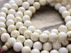 Mala Beads Default Tibetan Naga Shell 108 Bead Mala ml432