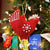 Ornaments Default Hen Ornament ho010-red