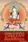 Paper Goods Default A Concise Introduction to Tibetan Buddhism bk046