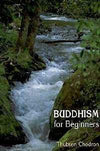 Paper Goods,Under 35 Dollars Default Buddhism for Beginners bk003