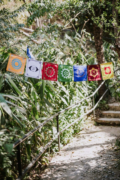 Prayer Flags 7 Chakra Energy Prayer Flags PF077