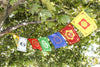 Prayer Flags 7 Chakra Energy Prayer Flags PF077