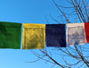 Prayer Flags Default Cotton Guru Rinpoche Prayer Flags pf014