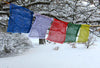 Prayer Flags Default Cotton Windhorse Set of 10 pf007