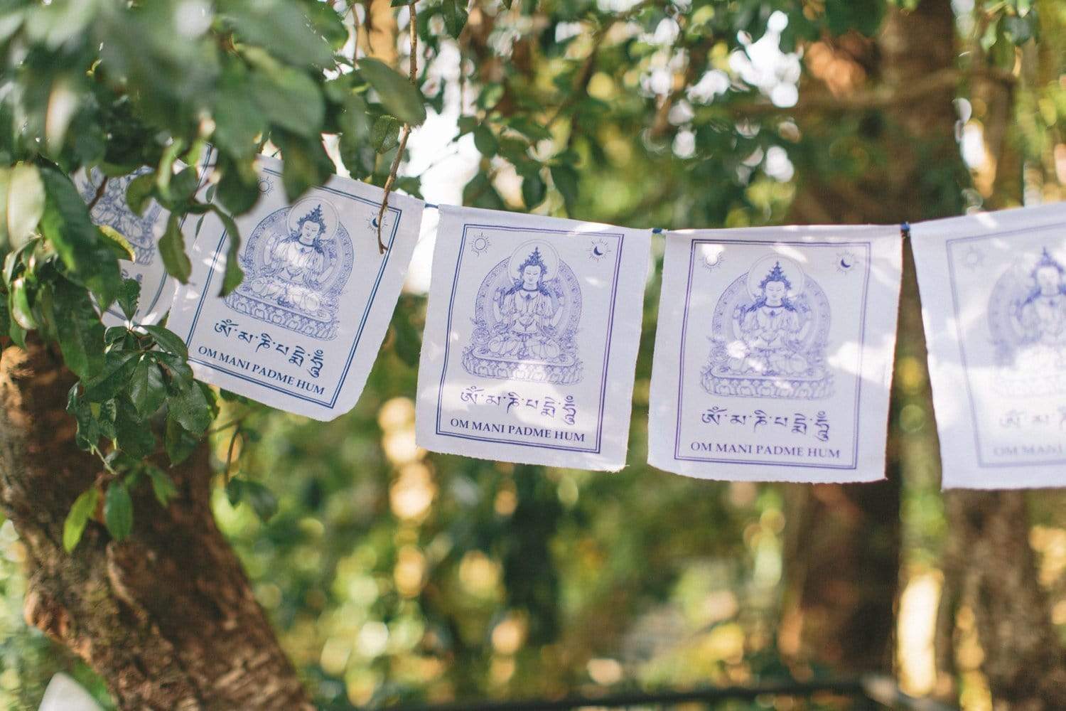 Embodiment of Compassion Prayer Flags - DharmaShop