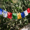 Fly Your Wishes Prayer Flags