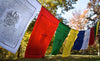 Prayer Flags Default Praise to the 21 Taras Prayer Flags pf041