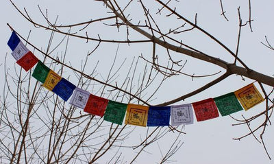 Prayer Flags Default Tiny Windhorse Prayer Flags Set of 15 pf054