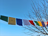 Prayer Flags Default Windhorse Success Set of 25 Prayer Flags PF128