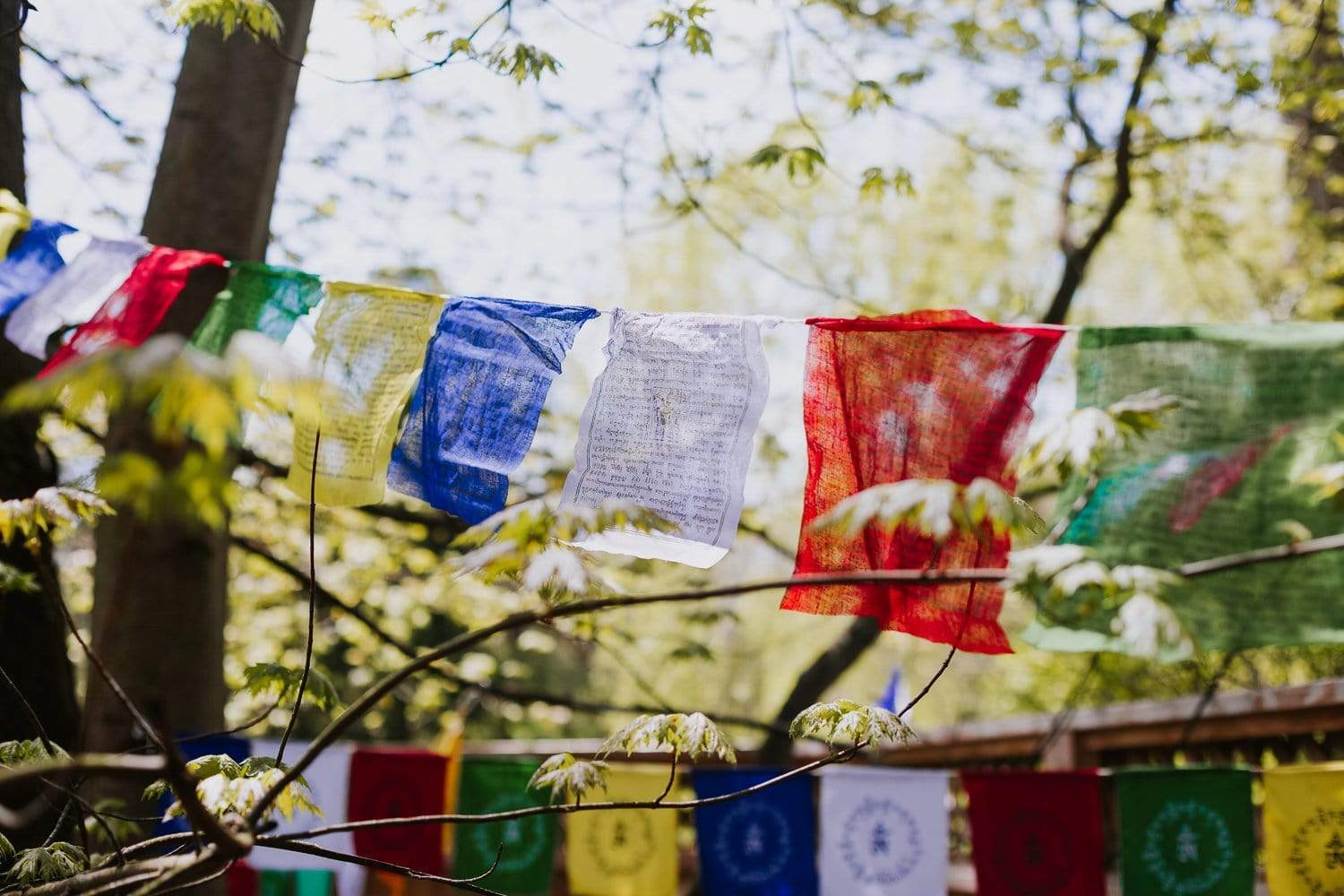 Prayer Flags Original Windhorse Prayer Flags pf001