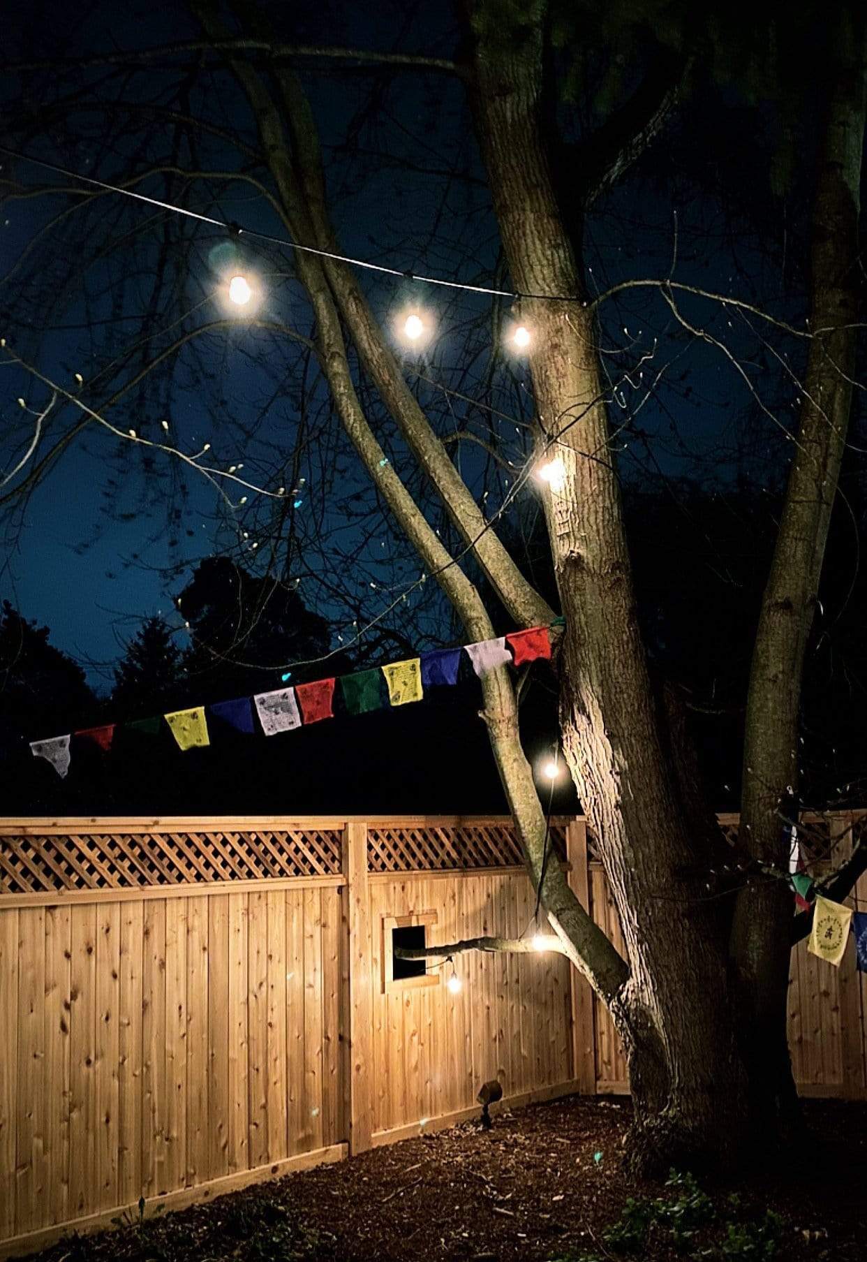 Prayer Flags Original Windhorse Prayer Flags pf001