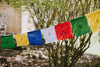 Outdoor Prayer Flags for Positivity