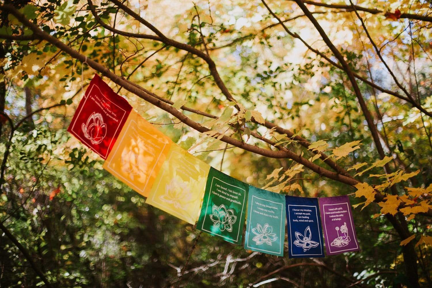 Prayer Flags Tibetan Healing Prayer Flags pf094