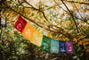 Prayer Flags Tibetan Healing Prayer Flags pf094