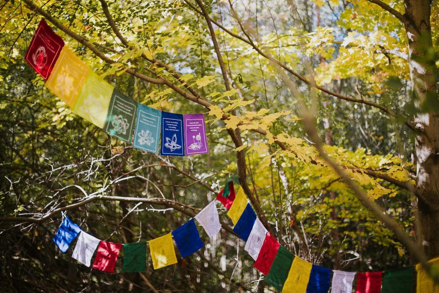 Prayer Flags Tibetan Healing Prayer Flags pf094