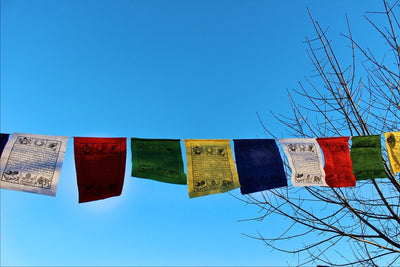 Prayer Flags,Under 35 Dollars Default Large Good Fortune and Empowerment Prayer Flags pf087