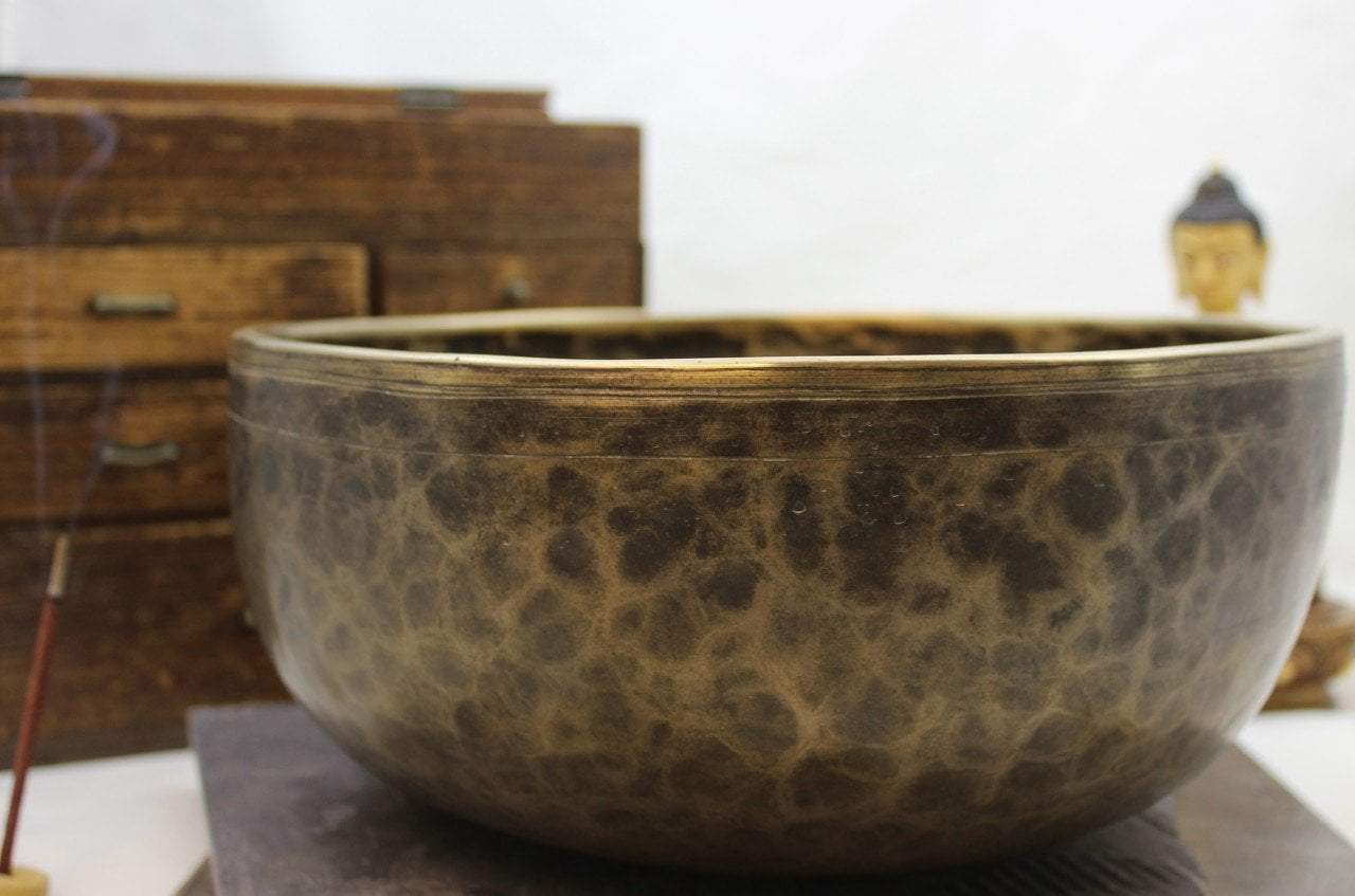 10 1/2 inch singing bowl C3 128hz - DharmaShop