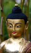 Statues Default 8 inch Fine Quality Shakyamuni Statue st035