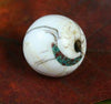 Tibetan Beads Default Naga Shell Bead be042
