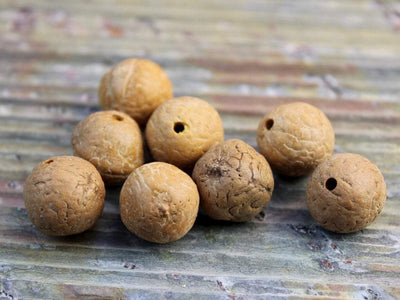 Tibetan Beads Default Natural Bodhi Seed 14mm be077